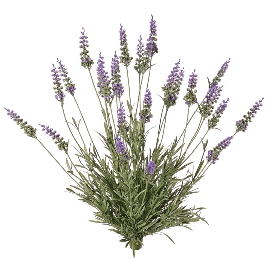 Lavendelplant (Lavandula) met 28 bloemen & 152 bladeren, 56 cm, BY MK! UV bestendig
