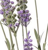 Lavendelplant (Lavandula) met 28 bloemen & 152 bladeren, 56 cm, BY MK! UV bestendig