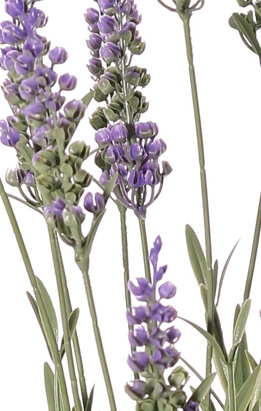 Lavendelplant (Lavandula) met 28 bloemen & 152 bladeren, 56 cm, BY MK! UV bestendig