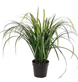 Grass plant 'Lemongrass' 6 bunches with 78 plastic leaves, in a pot, 60 cm - UV safe