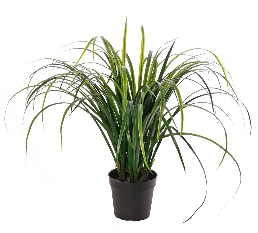 Grass plant 'Lemongrass' 6 bunches with 78 plastic leaves, in a pot, 60 cm - UV safe