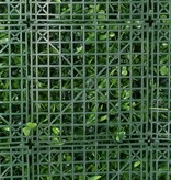 Plantenwand 'Green Deco' Basics, 50 x 50 x 8 cm, UV bestendig