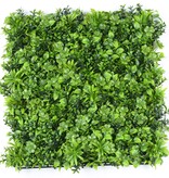 Plantenwand 'Green Deco' Basics, 50 x 50 x 8 cm, UV bestendig
