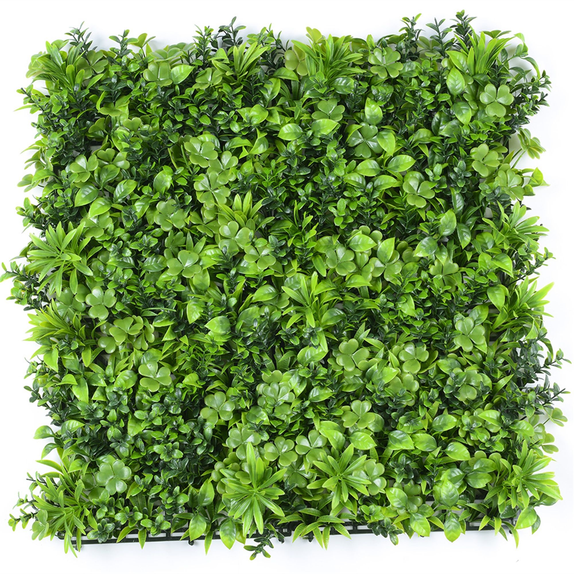 Plantenwand 'Green Deco' Basics, 50 x 50 x 8 cm, UV bestendig