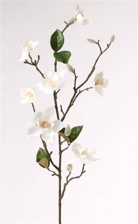 Rama Magnolia (pequeña flores, max. Ø 9cm), 7 flores, 10 flocked capullos, 6 hojas, 90cm