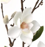 Rama Magnolia (pequeña flores, max. Ø 9cm), 7 flores, 10 flocked capullos, 6 hojas, 90cm