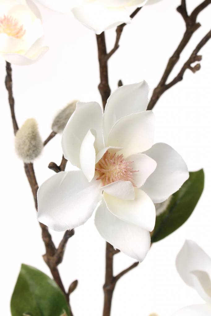 Magnolia spray (kleinbloemig) 90cm