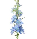 Delphinium, 12 flrs., 8 bud, 3 lvs, 60cm