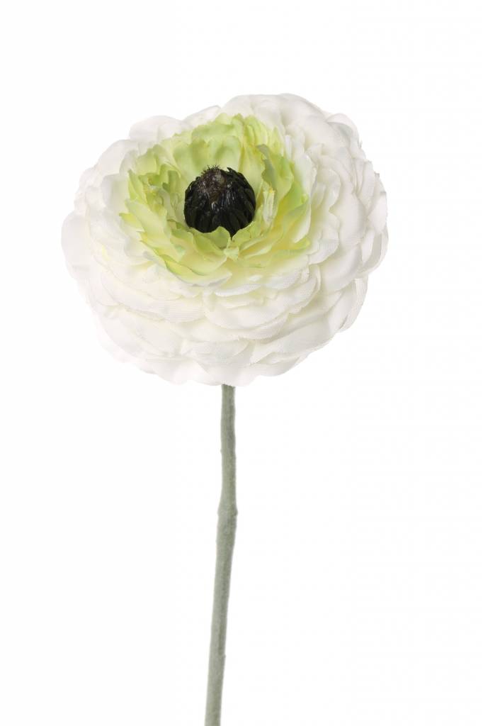 kuenstliche Ranunkel, 35cm, 1 Blume und 1 Knospe, 35cm