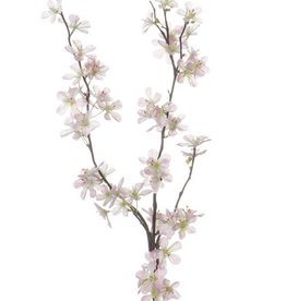 Appleblossom, 84cm