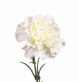 Carnation w pl bud+lv, 60cm