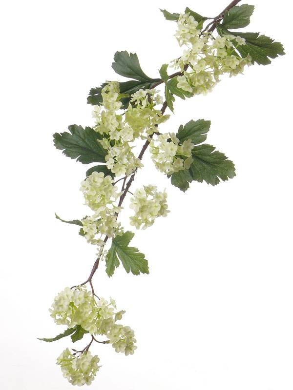 Viburnum spray 86cm