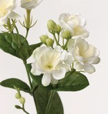 Jasmine (jasminum), 9 flores, 15 capullos, 14 hojas, 60cm