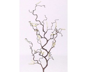ausziehbarer esstisch massivholz Ausziehbare Esstische online kaufen Farbe:Cord Creme Beige