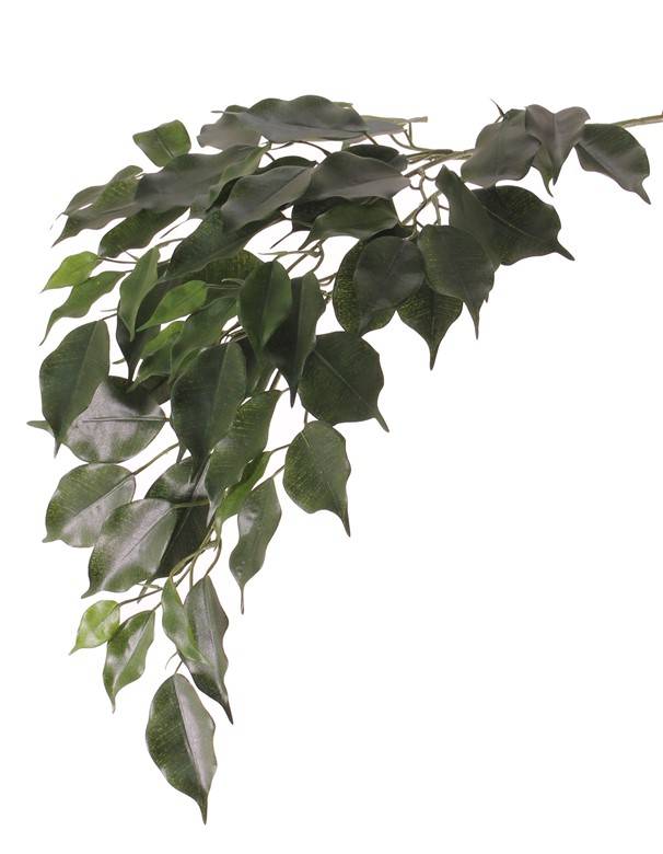 Ficusspray "exotica" met 3 vertakkingen,  61 bladeren, 77cm - brandvertragend - ACTIE