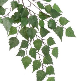 Rama abedul (Betula), 48 hojas, 64cm