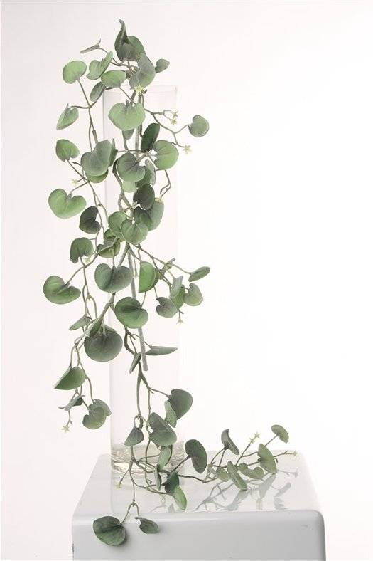 Dichondra "Silver Falls" hangplant met 72 bladeren, 116 cm