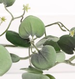 Dichondra "Silver Falls" hangplant met 72 bladeren, 116 cm