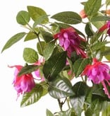 Fuchsia bush x12flrs & 108lvs, 30cm