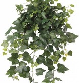 Hedera Efeu Gala x 262 65cm UV-sicher