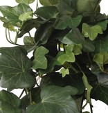 Hedera Efeu Gala x 262 65cm UV-sicher