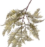 fernbranch large x32lvs, 90cm