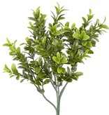 Boxwood-twig x36 tips of leaves 47cm, FIRE RETARDENT