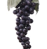 Grapes with 90 fruits and 2 leaves, length 28cm