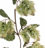 hop branch "de luxe" met 12 hop flowers, 12 lvs Ø 11cm/Ø 5,5cm/Ø 3,5cm, 68cm