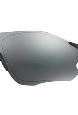 Oakley Oakley EV Zero Path Iridium