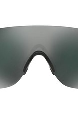 Oakley Oakley EV Zero Stride Iridium