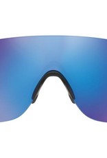Oakley Oakley EV Zero Stride Iridium