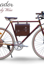 Rayvolt Rayvolt Ambassador