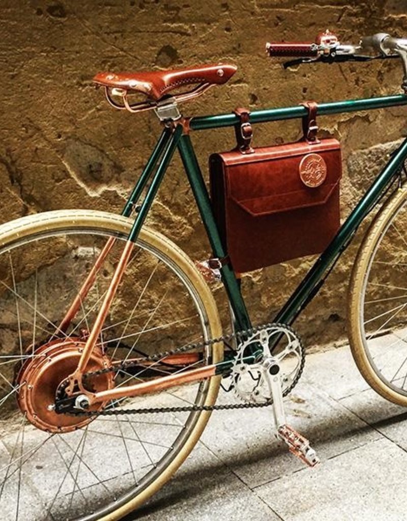 Rayvolt Rayvolt Ambassador