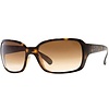 Rayban Sunglasses
