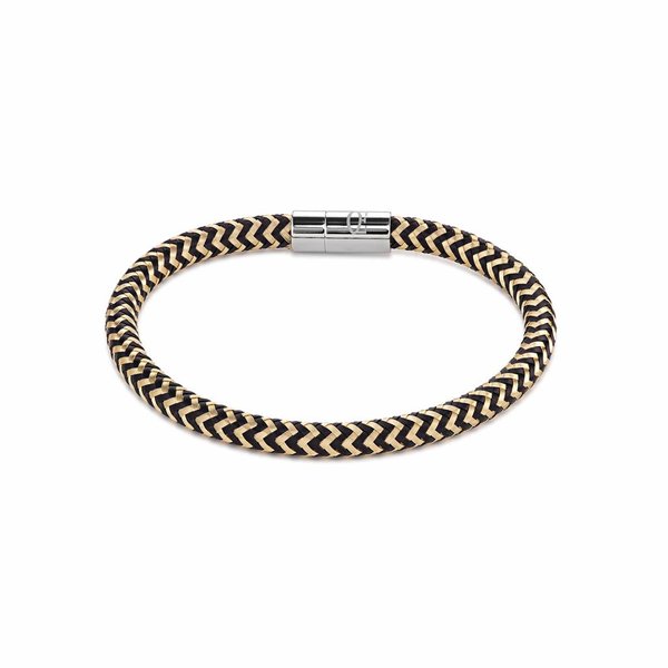 Coeur de Lion 0116 1613 A