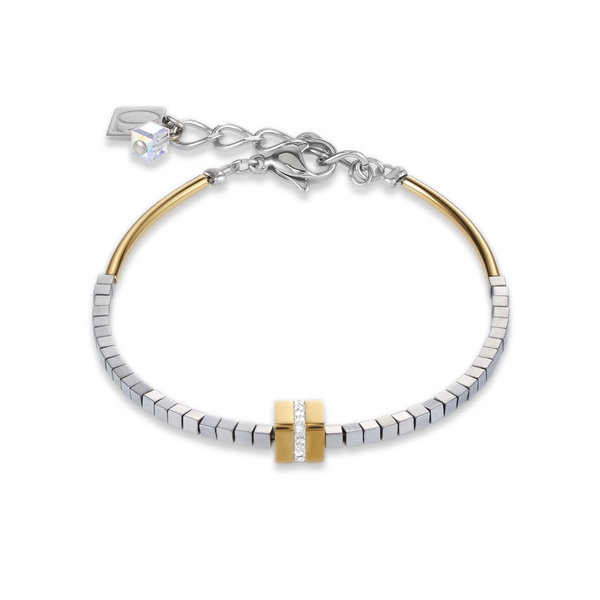 Coeur de Lion 4966 1617 A
