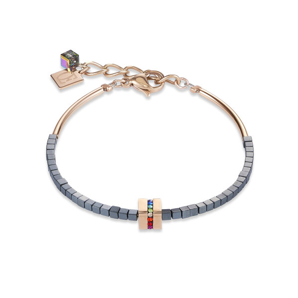 Coeur de Lion 4966 1500 A