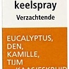 Activox Keel spray verzachtend Activox Keel spray verzachtend