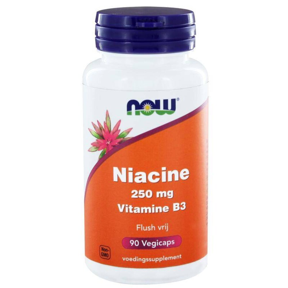 NOW Niacine flush vrij 250mg NOW Niacine flush vrij 250mg