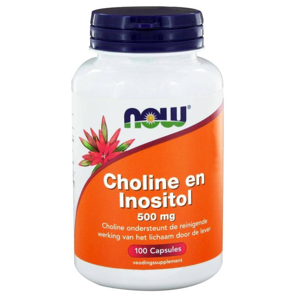 NOW Choline en inositol 500mg