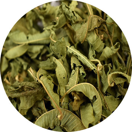 Vitabron Verveine