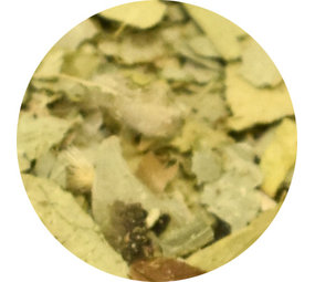  Vitabron Senneblad gesneden - 70 gram