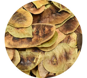  Vitabron Senna peulen