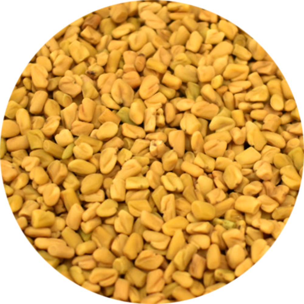 Vitabron Fenegriekzaad