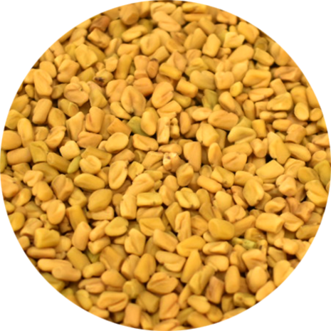 Vitabron Fenegriekzaad