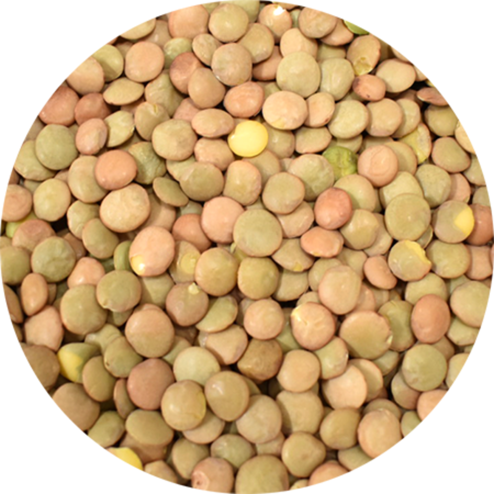 Vitabron Groene linzen