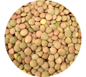 Vitabron Groene linzen - 500 gram Vitabron Groene linzen - 500 gram