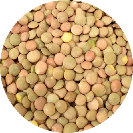 Vitabron Groene linzen