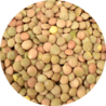 Vitabron Groene linzen Vitabron Groene linzen